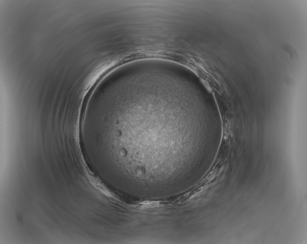 X0000115800052200911131408