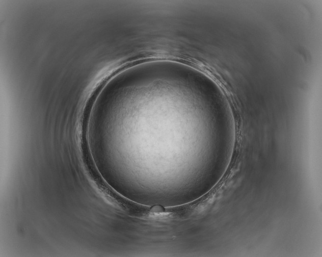 X0000115800055200911131408