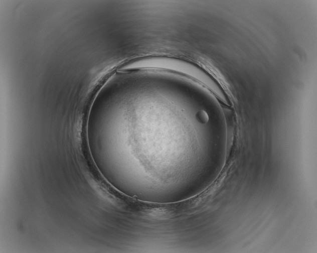 X0000115800058200911131408