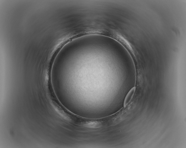 X0000115800059200911131408