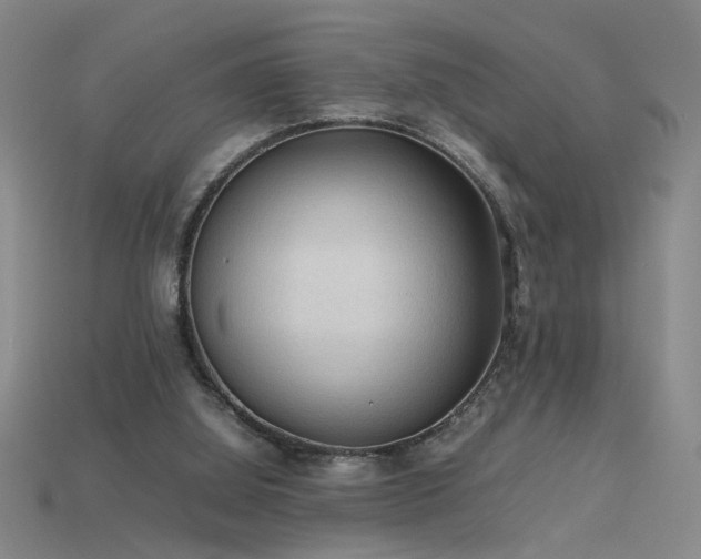 X0000115800060200911131408