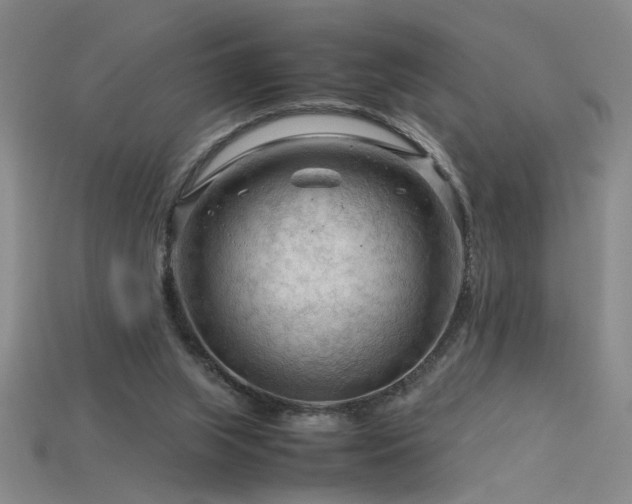 X0000115800063200911131408