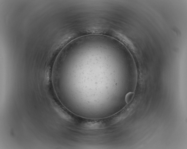 X0000115800065200911131408