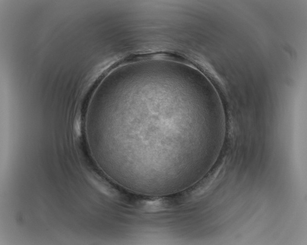 X0000115800068200911131408