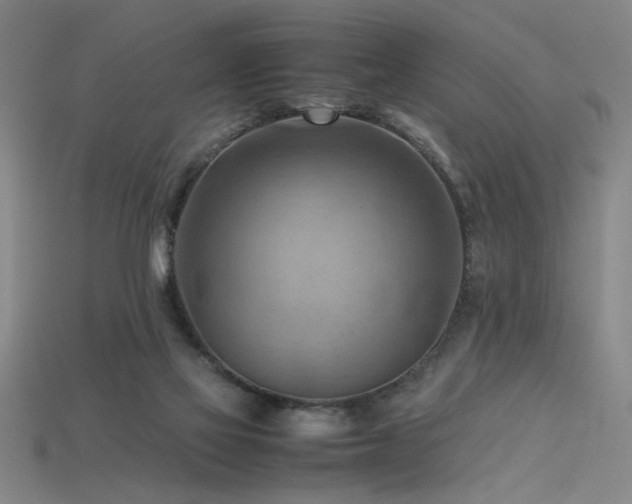 X0000115800069200911131408