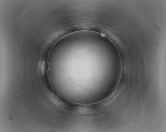 X0000115800070200911131408