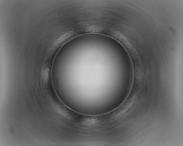 X0000115800071200911131408