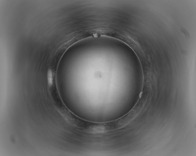 X0000115800075200911131408