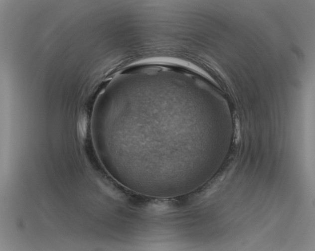 X0000115800076200911131408