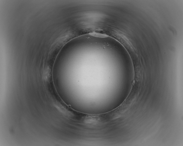 X0000115800077200911131408