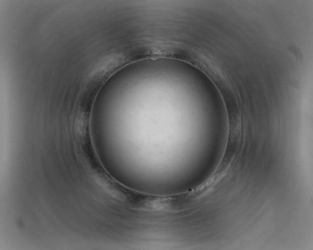 X0000115800078200911131408