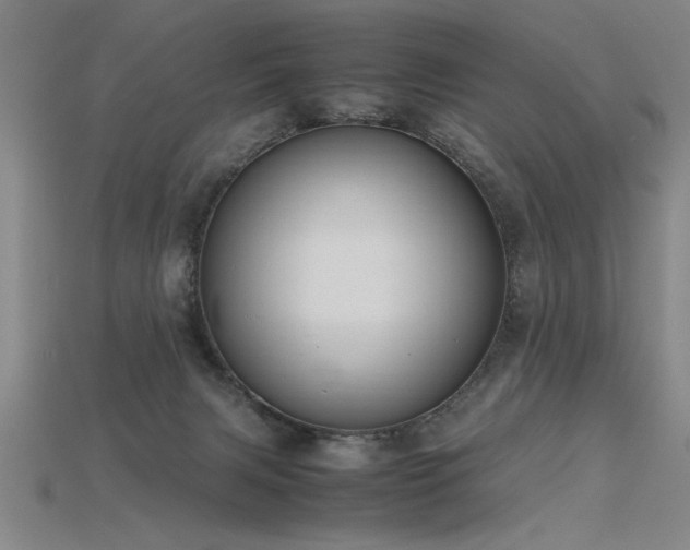 X0000115800079200911131408