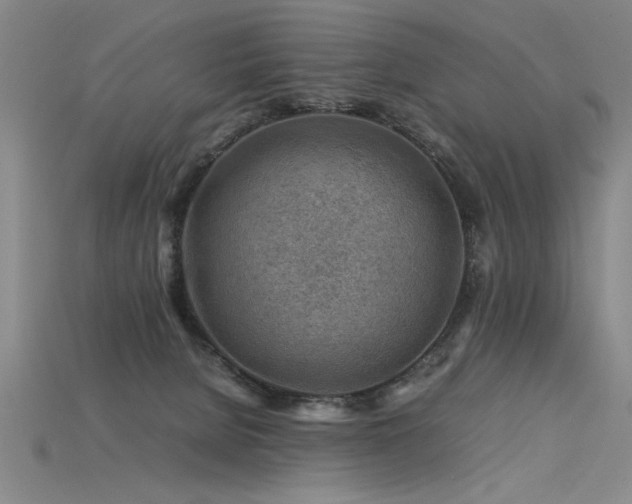 X0000115800080200911131408