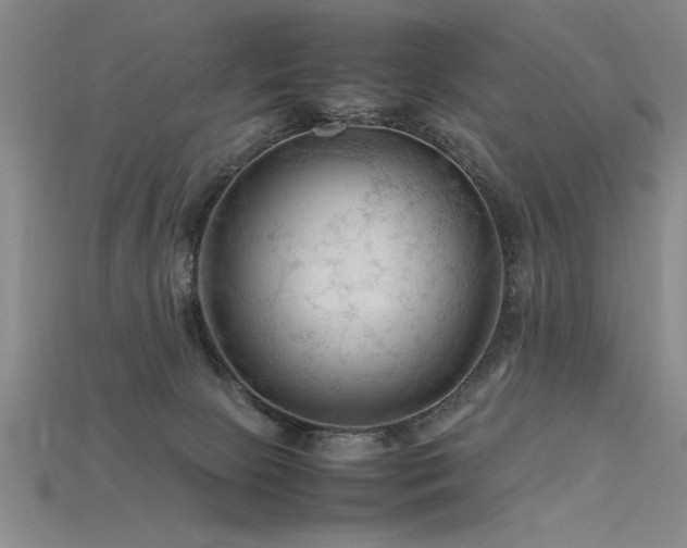 X0000115800081200911131408