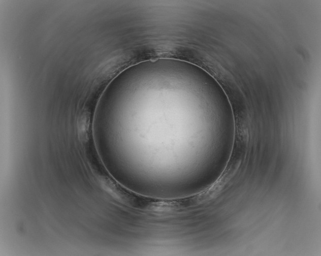 X0000115800082200911131408