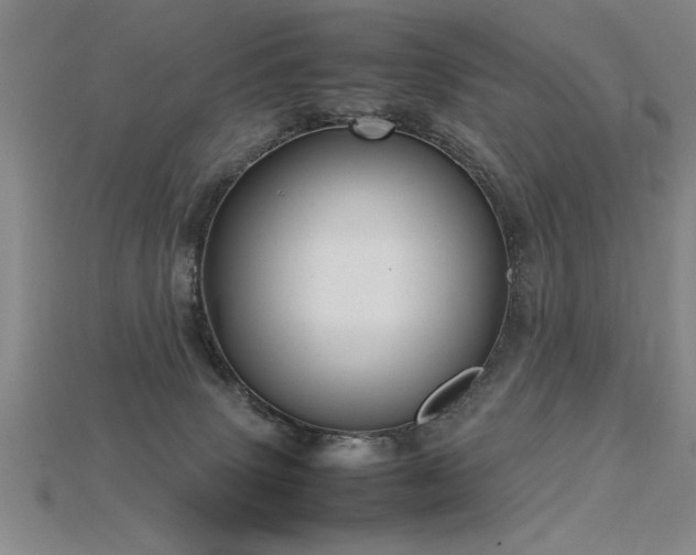 X0000115800083200911131408