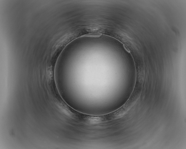 X0000115800085200911131408