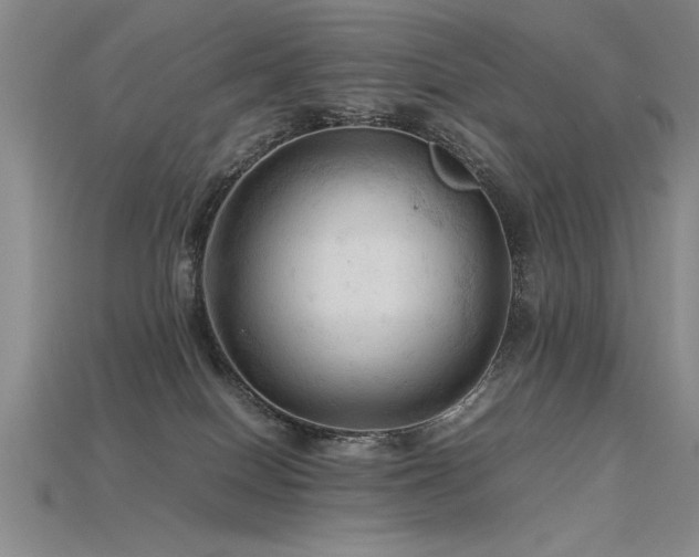 X0000115800086200911131409