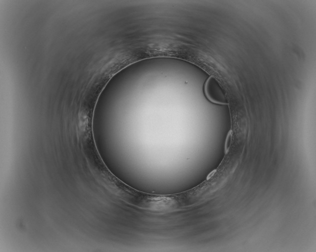 X0000115800087200911131409