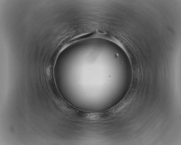 X0000115800088200911131409