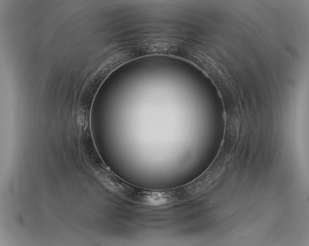 X0000115800091200911131409