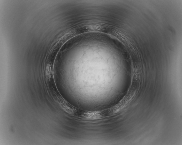 X0000115800093200911131409