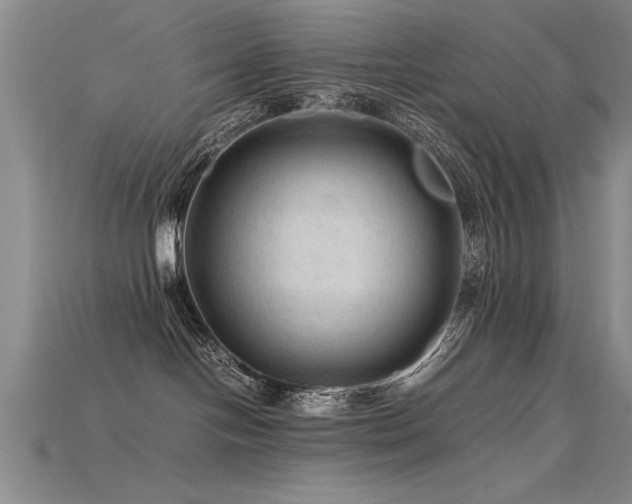 X0000115800094200911131409