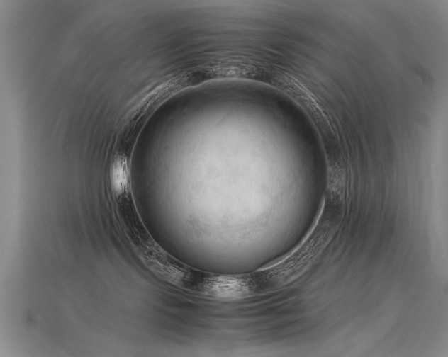 X0000115800095200911131409