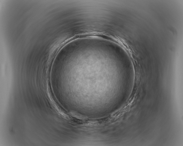 X0000115800097200911131408