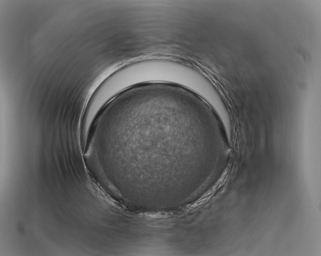 X0000115800100200911131408