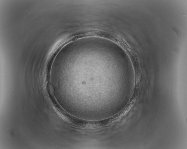 X0000115800101200911131408