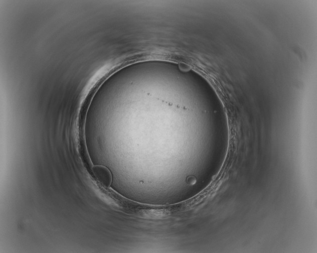 X0000115800102200911131408