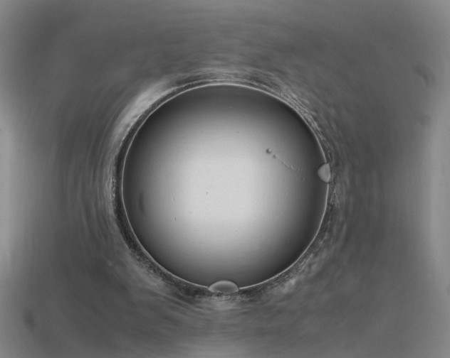 X0000115800103200911131408