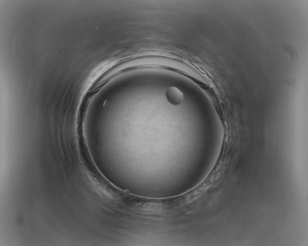 X0000115800104200911131408