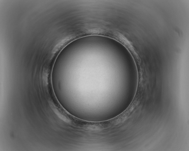 X0000115800106200911131408