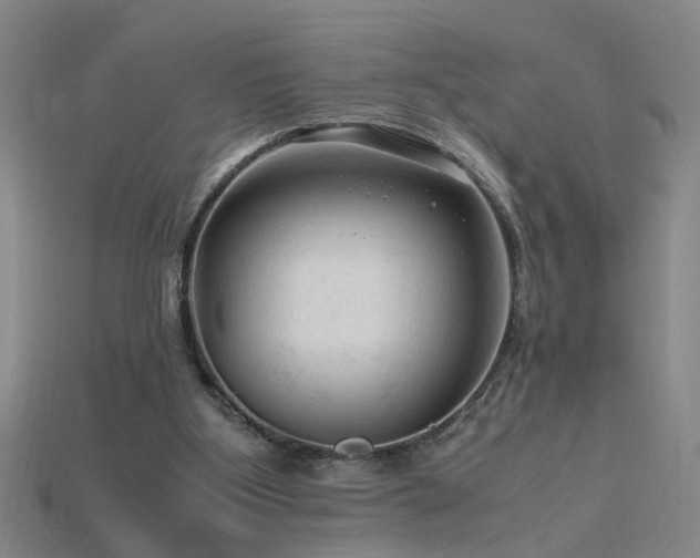 X0000115800107200911131408