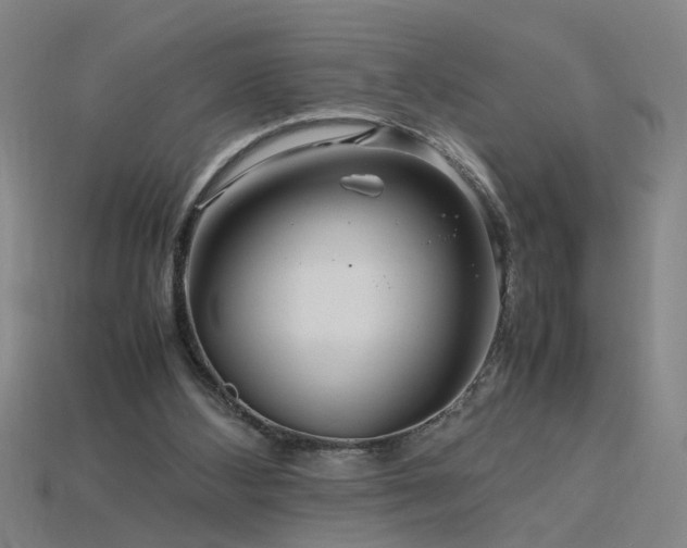 X0000115800108200911131408