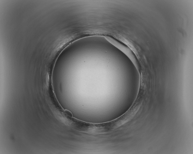 X0000115800109200911131408
