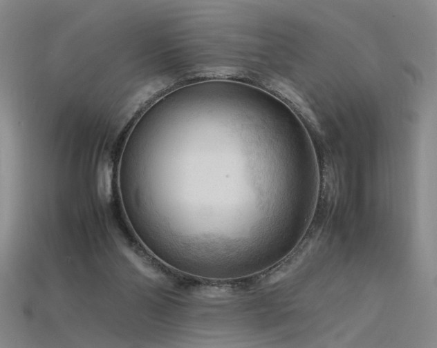 X0000115800110200911131408