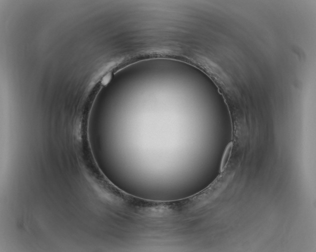 X0000115800112200911131408