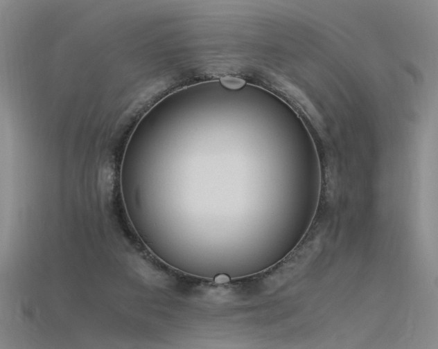 X0000115800113200911131408
