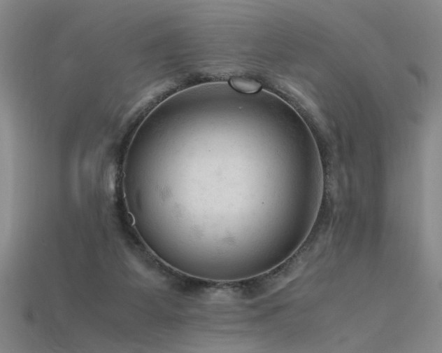 X0000115800115200911131408