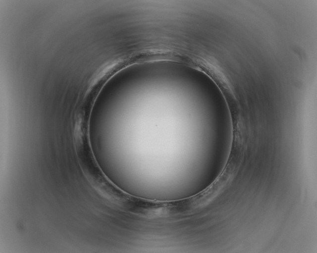 X0000115800116200911131408