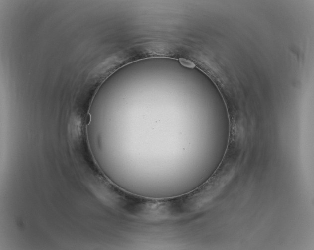 X0000115800117200911131408