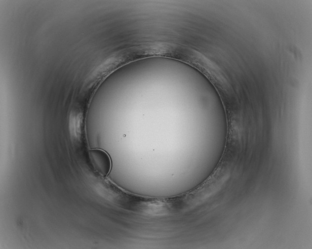 X0000115800118200911131408