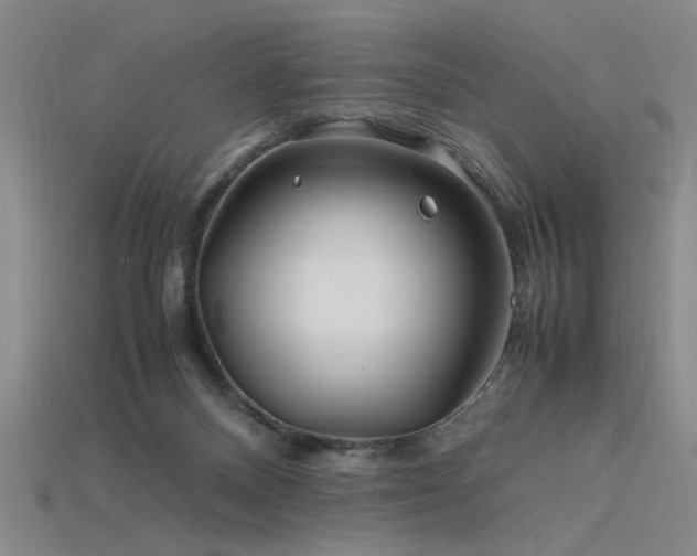 X0000115800120200911131408