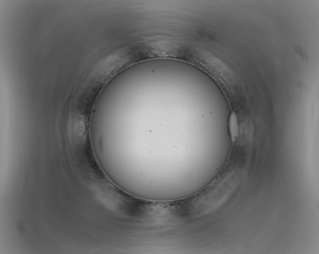 X0000115800121200911131408