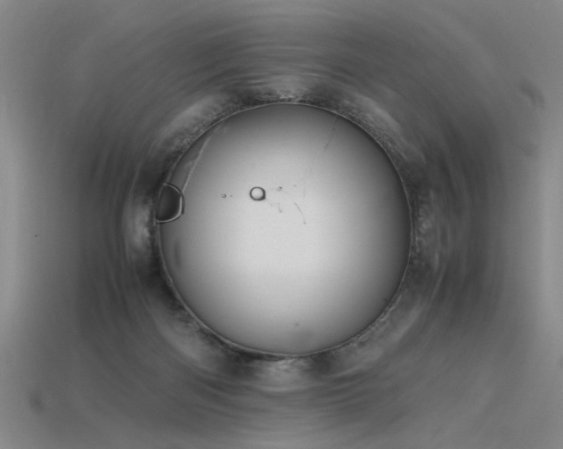X0000115800122200911131408