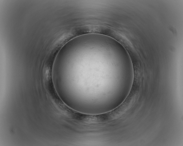 X0000115800123200911131408