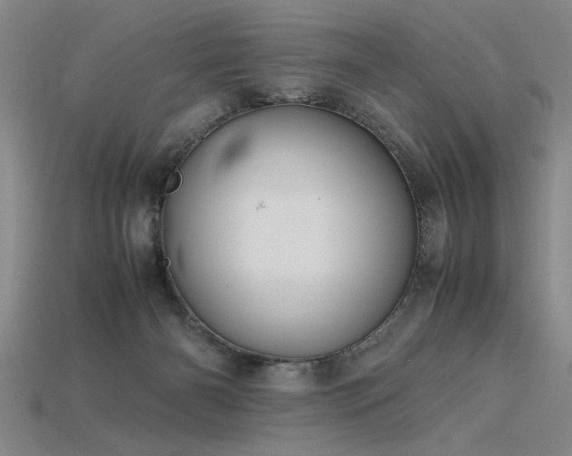 X0000115800126200911131408